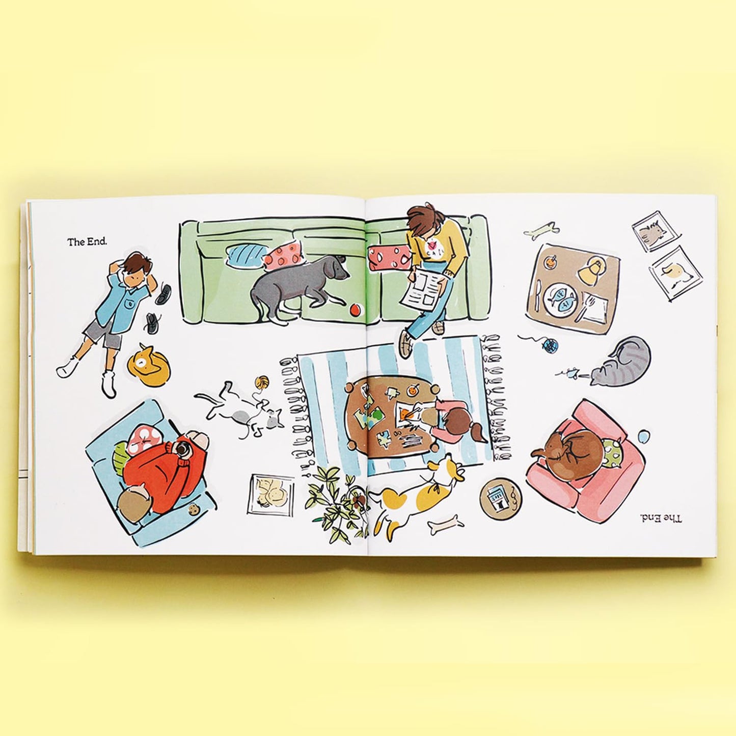 The Cat is Not a Dog