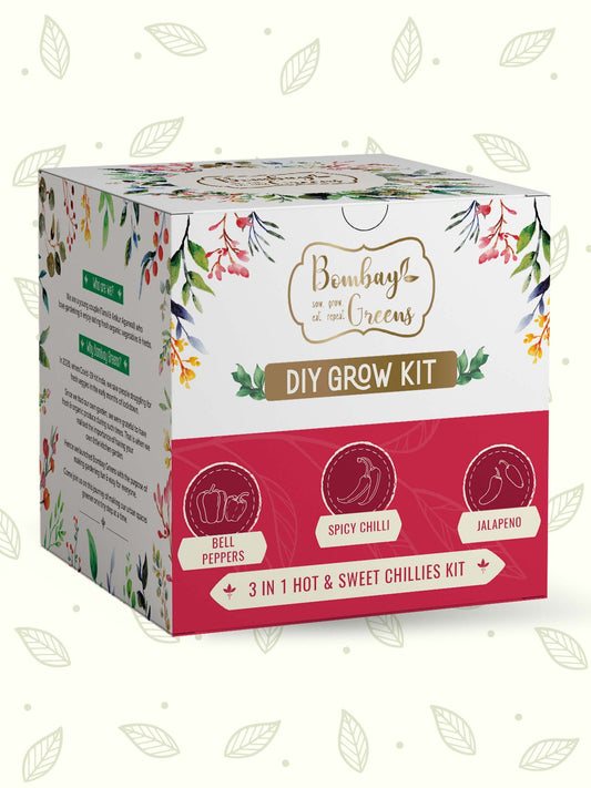Chillies Kit -Grow Spicy Green, Jalapeno, Bell Peppers