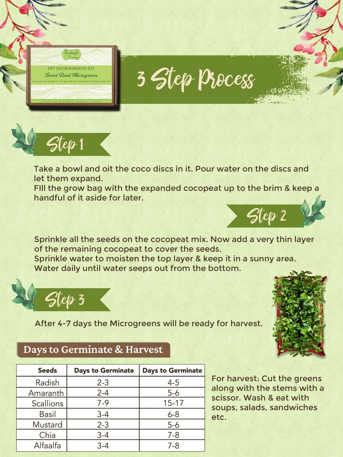 DIY Microgreens Eco-Friendly Kit - Sweet Basil