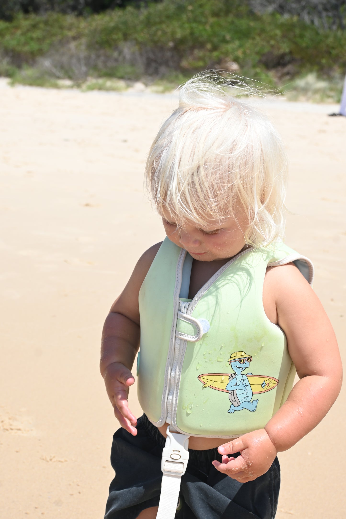 Kids Swim Vest 2-3 Shred Turtle Aqua