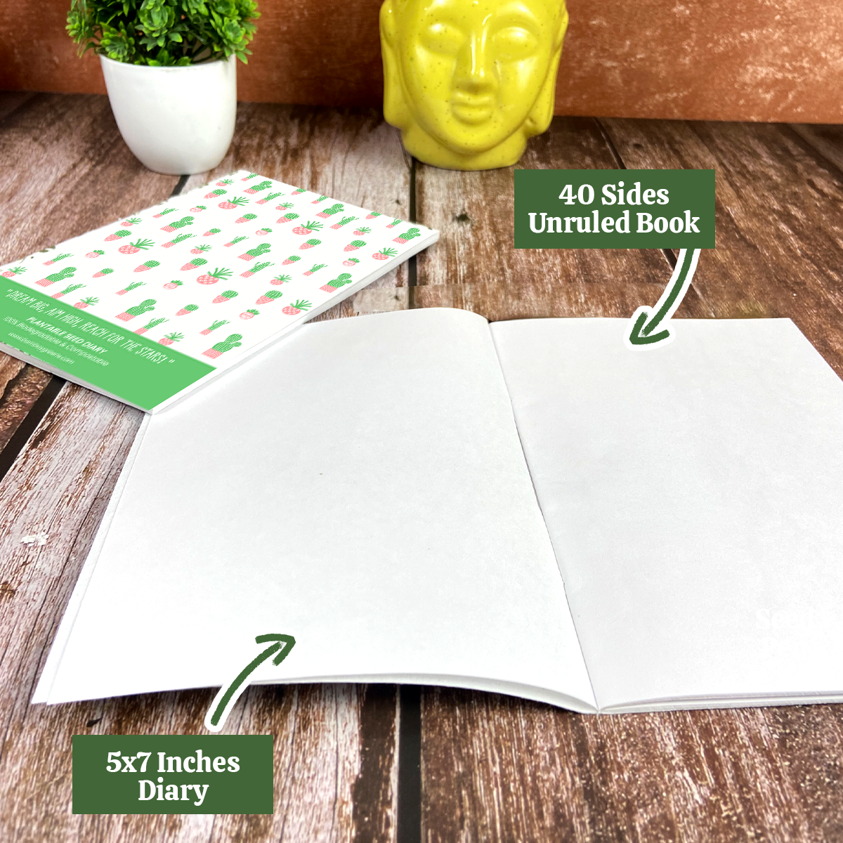 Plantable Stationery - Cactus
