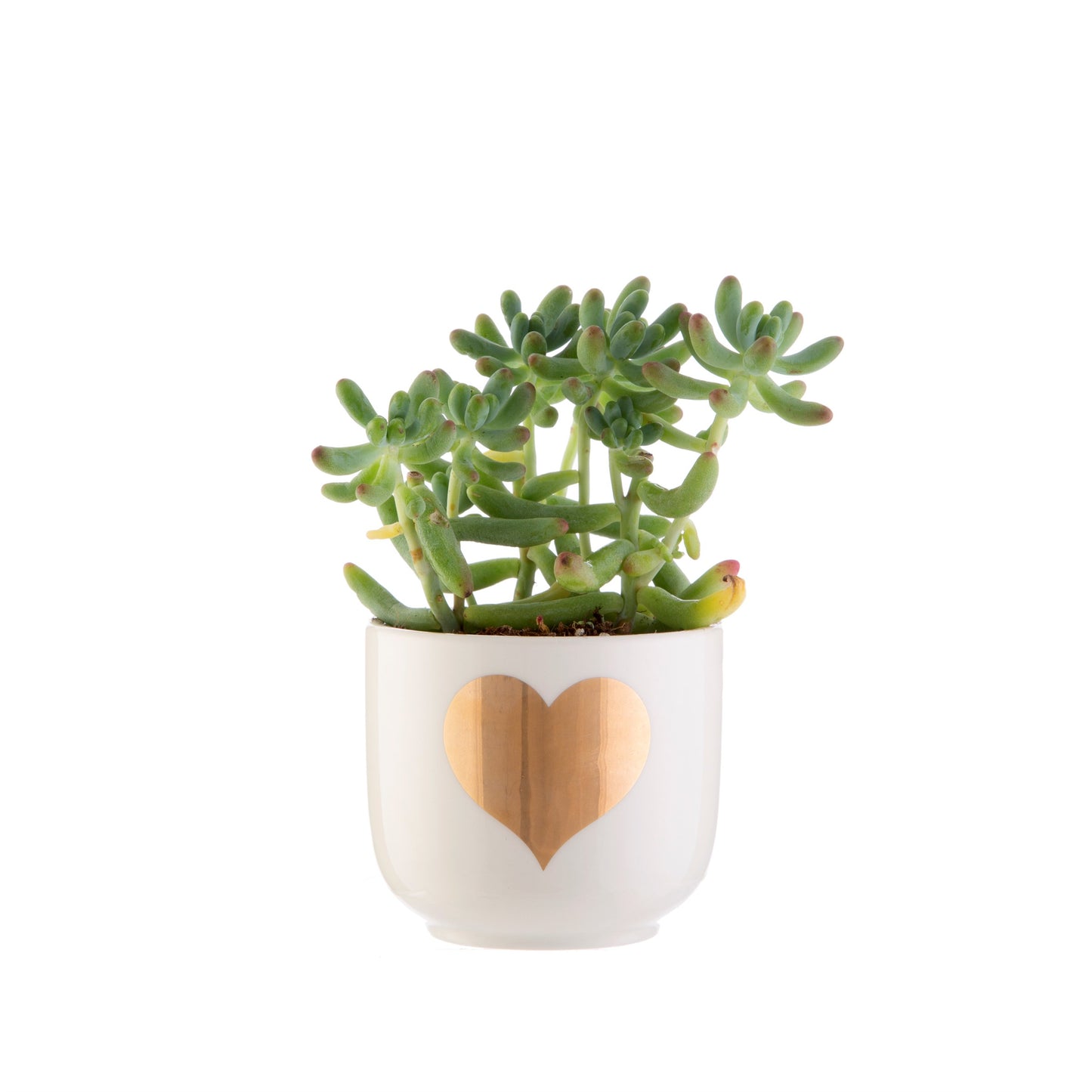 Mini Gold Heart Planter