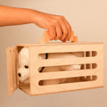 PlayBox Pet Grooming Play Set Wooden Toy | Pretend Play Toddler & Kids Baby Toys