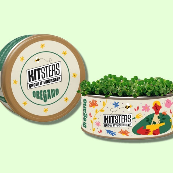 Grow in a can : Oregano