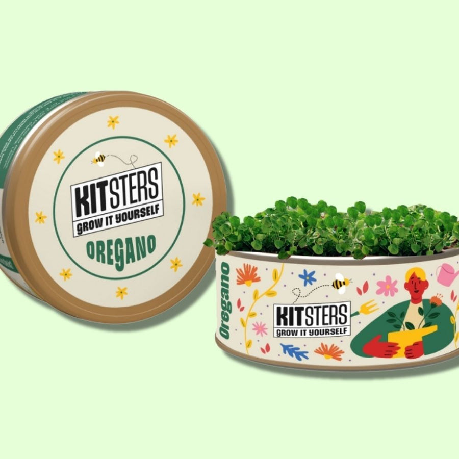 Grow in a can : Oregano