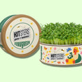 Grow in a can : Fenugreek