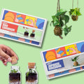 COMBO: DIY Mini Terrarium Kit & DIY Japanese Kokedama Kit