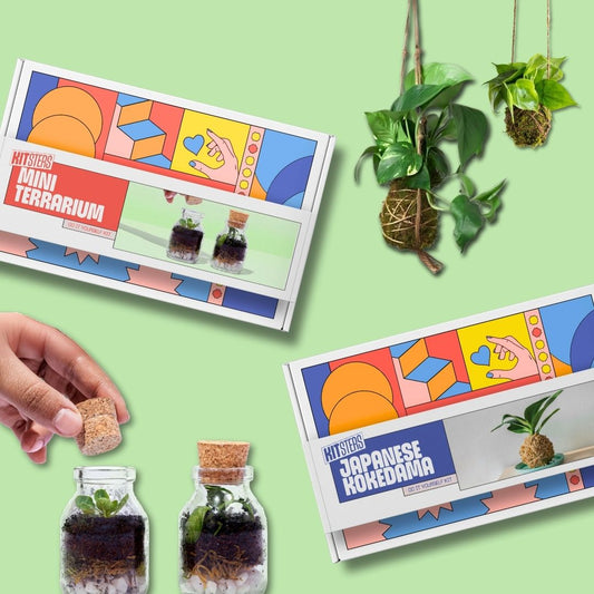COMBO: DIY Mini Terrarium Kit & DIY Japanese Kokedama Kit