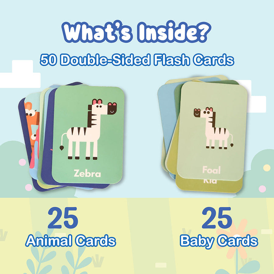 FLASH CARDS ANIMALS & THEIR BABIES