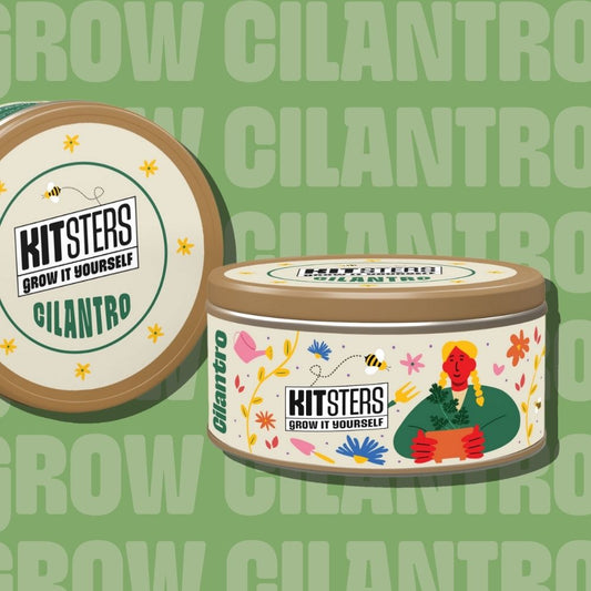 Grow in a can : Cilantro