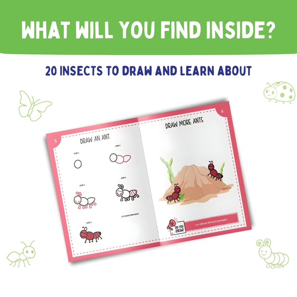 PEPPLAY STEP BY STEP DRAWING BOOK - INCREDIBLE INSECTS