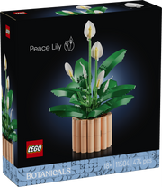 Peace Lily V29