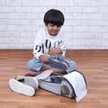 Fly Away With Me Organizer Shoe Bag