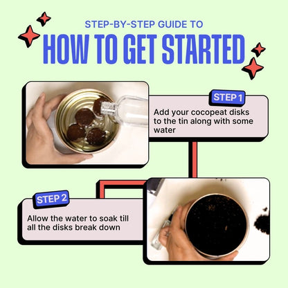 Grow in a can : Basil