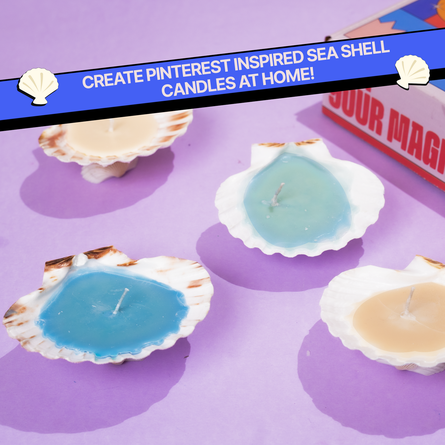 COMBO: DIY Shell Candle Kit & DIY Decoupage Shells Kit