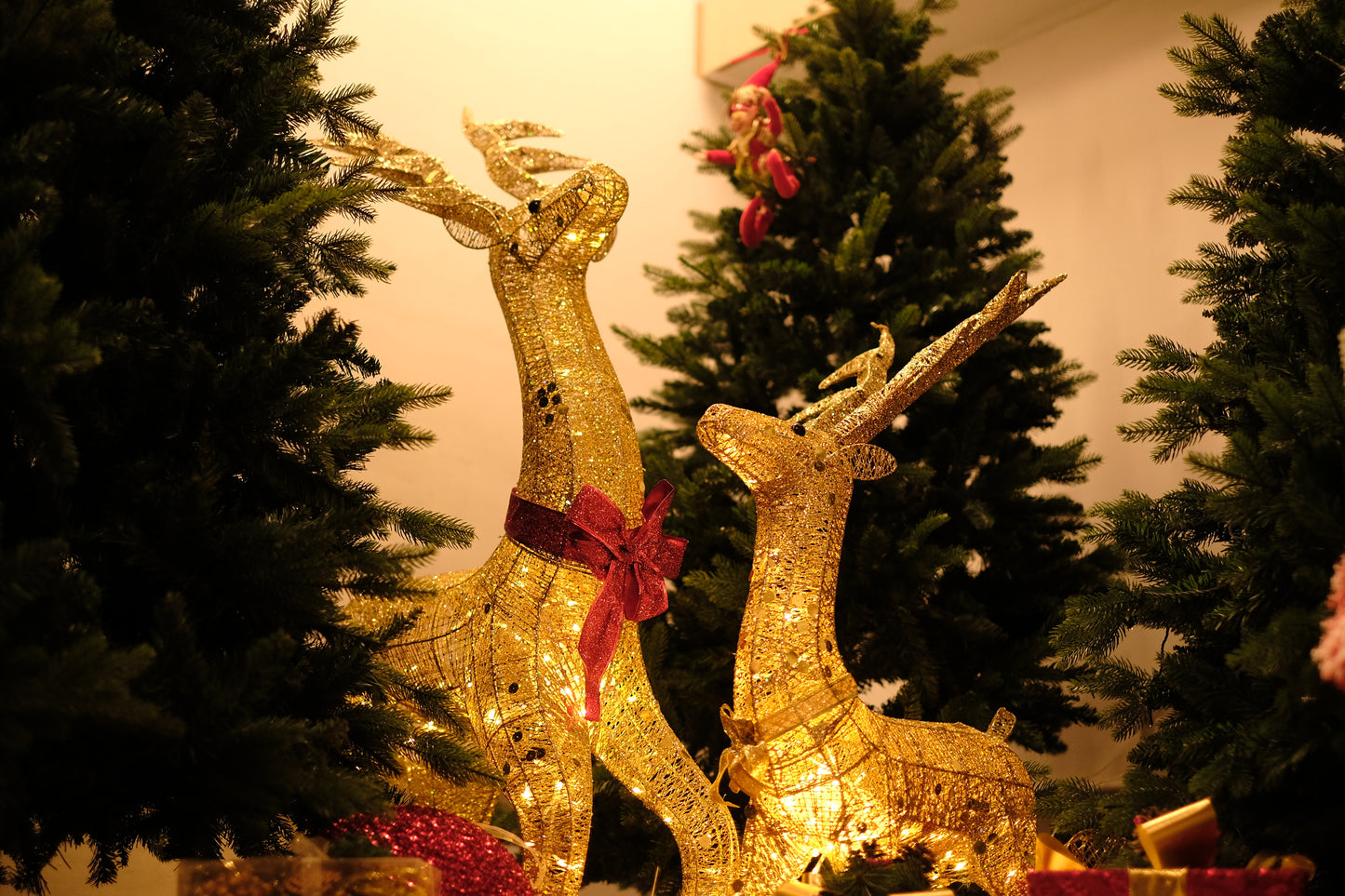 Rudolph, Shimmering Gold LED Reindeer Decoration by SWEN - 1.2 M