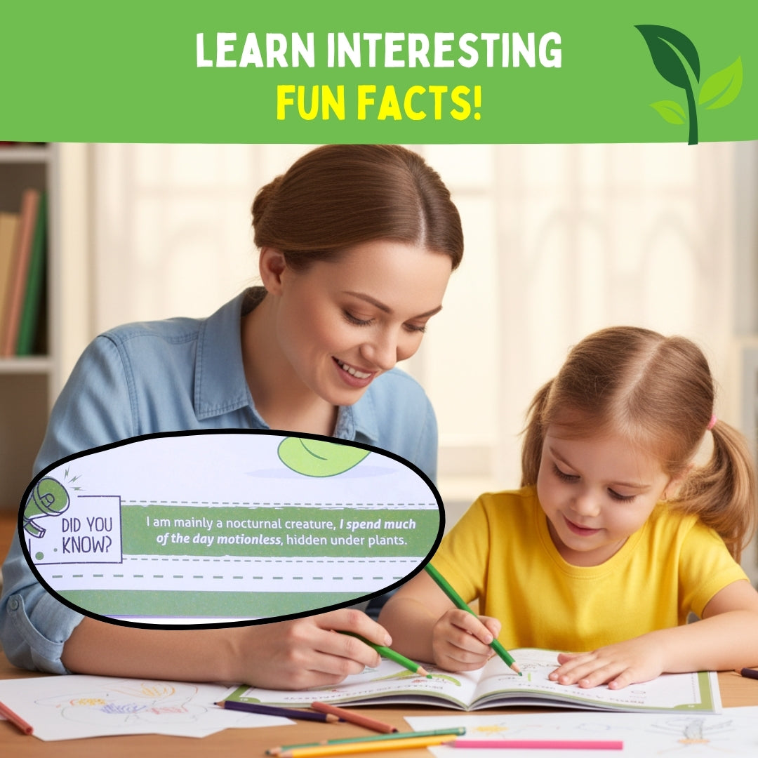 PEPPLAY STEP BY STEP DRAWING BOOK - INCREDIBLE INSECTS