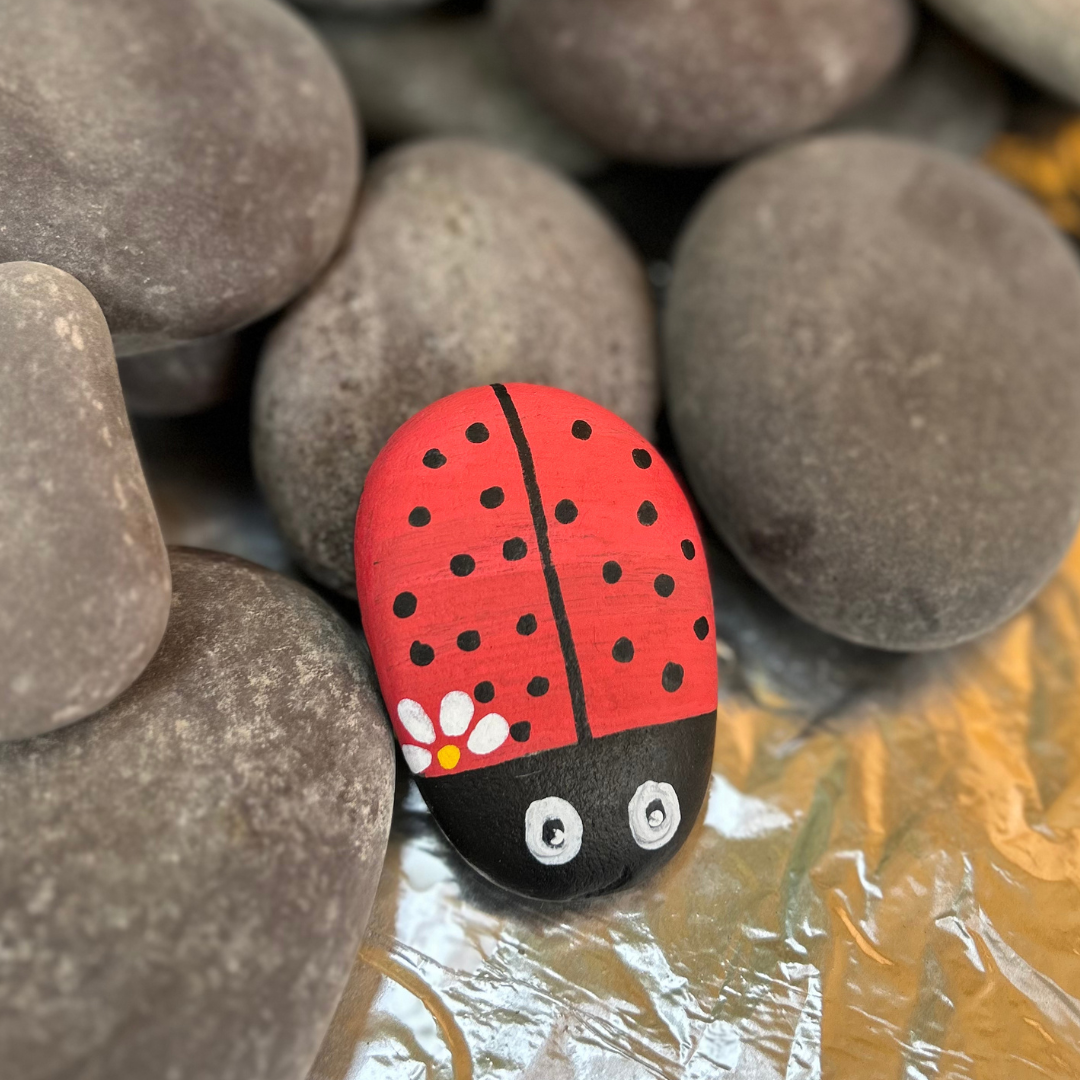 DIY Pebble Painting Kit