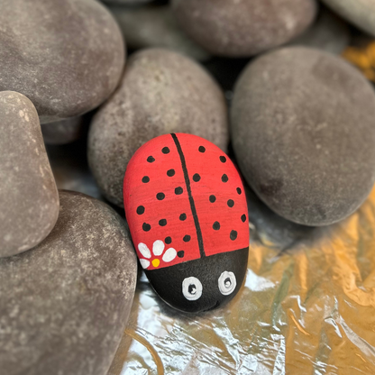 DIY Pebble Painting Kit