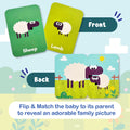 FLASH CARDS ANIMALS & THEIR BABIES