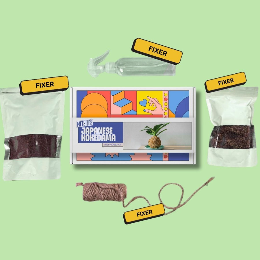 COMBO: DIY Mini Terrarium Kit & DIY Japanese Kokedama Kit