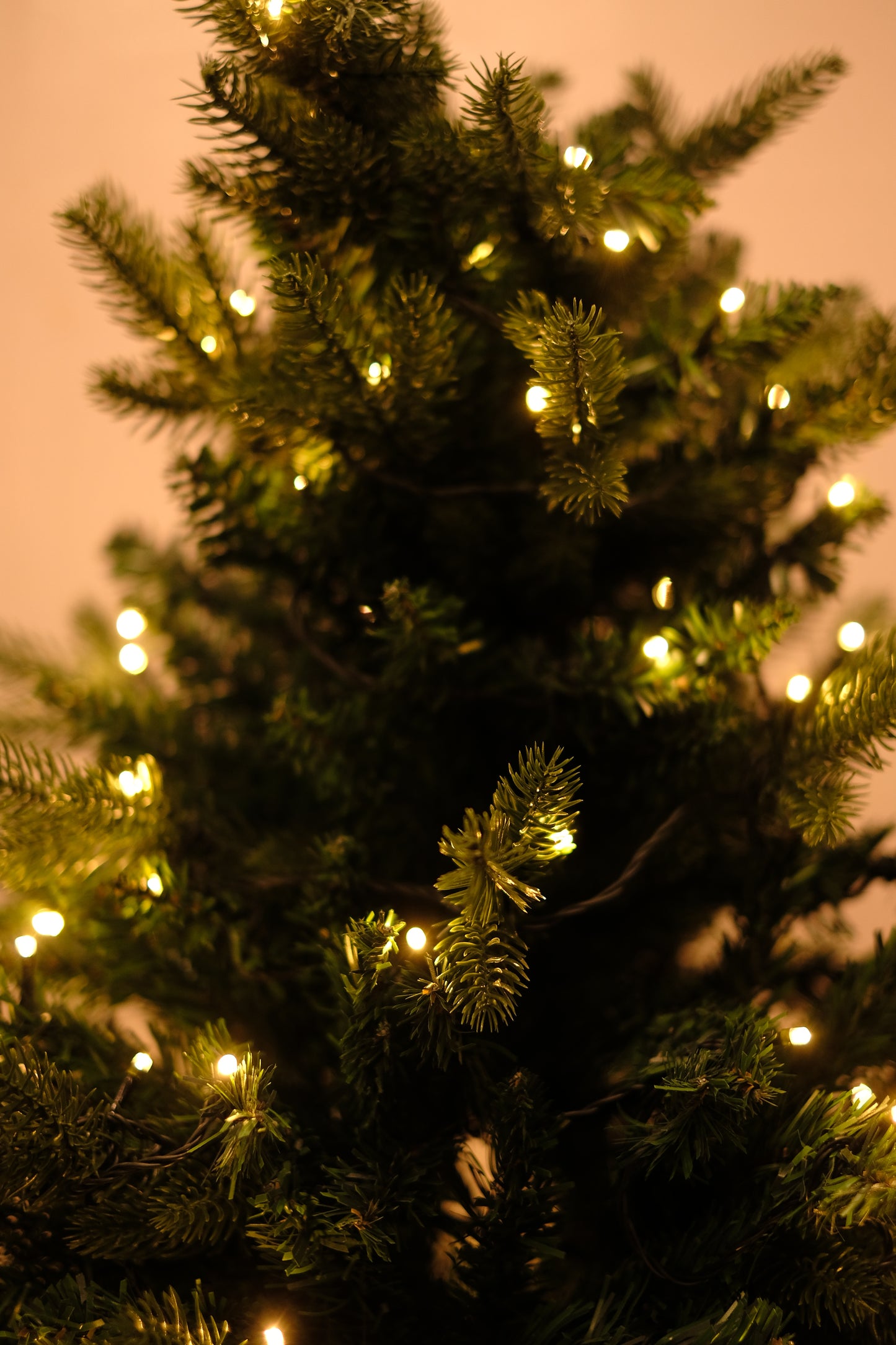 SWEN 6 feet pre-lit MELROSE christmas tree