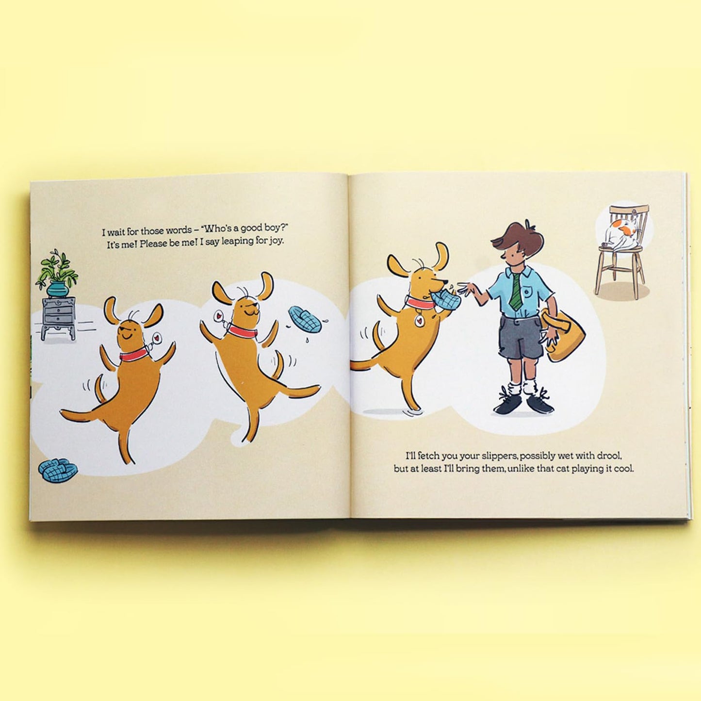 The Cat is Not a Dog