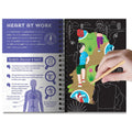 Human Body - Scratch, Discover & Learn | 7 Years+