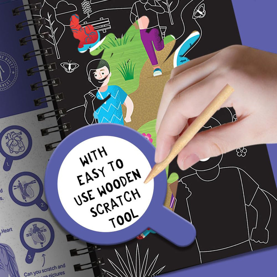 Human Body - Scratch, Discover & Learn | 7 Years+
