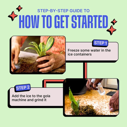 DIY Japanese Kokedama Kit