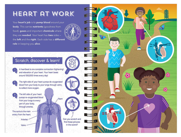 Human Body - Scratch, Discover & Learn | 7 Years+