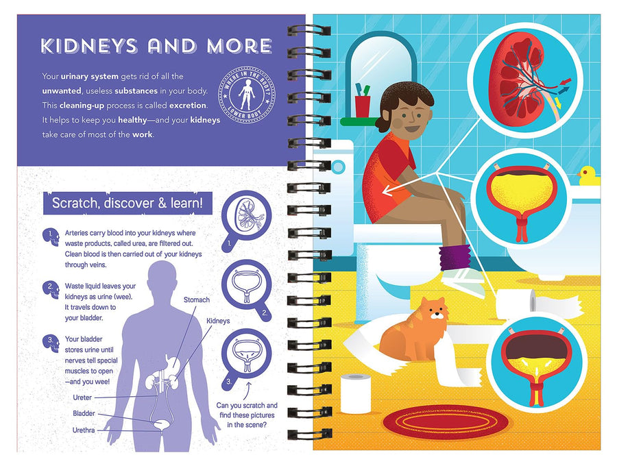 Human Body - Scratch, Discover & Learn | 7 Years+
