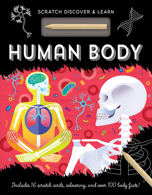 Human Body - Scratch, Discover & Learn | 7 Years+