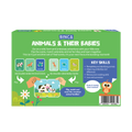 FLASH CARDS ANIMALS & THEIR BABIES