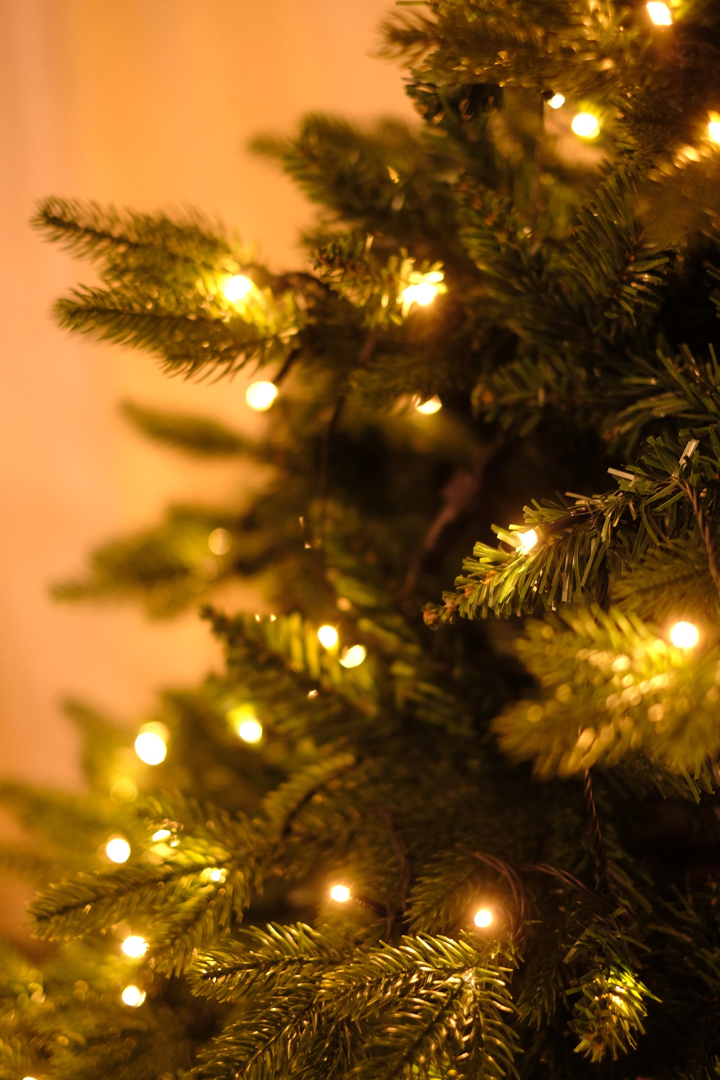 SWEN 6 feet pre-lit MELROSE christmas tree