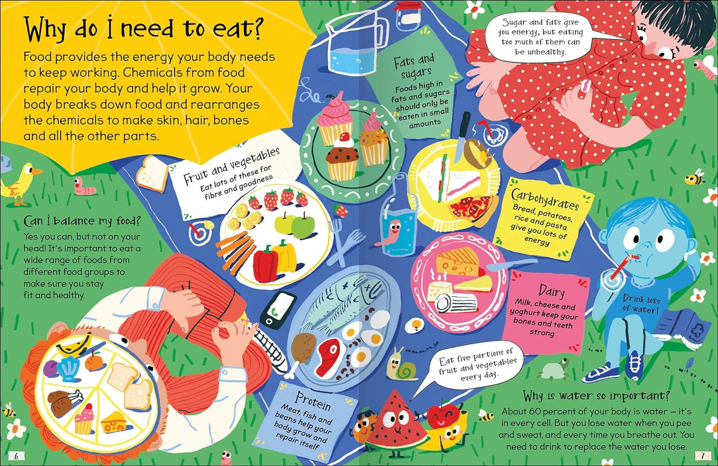 Curious Questions & Answers about My Body