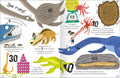 Curious Questions & Answers about Prehistoric Animals