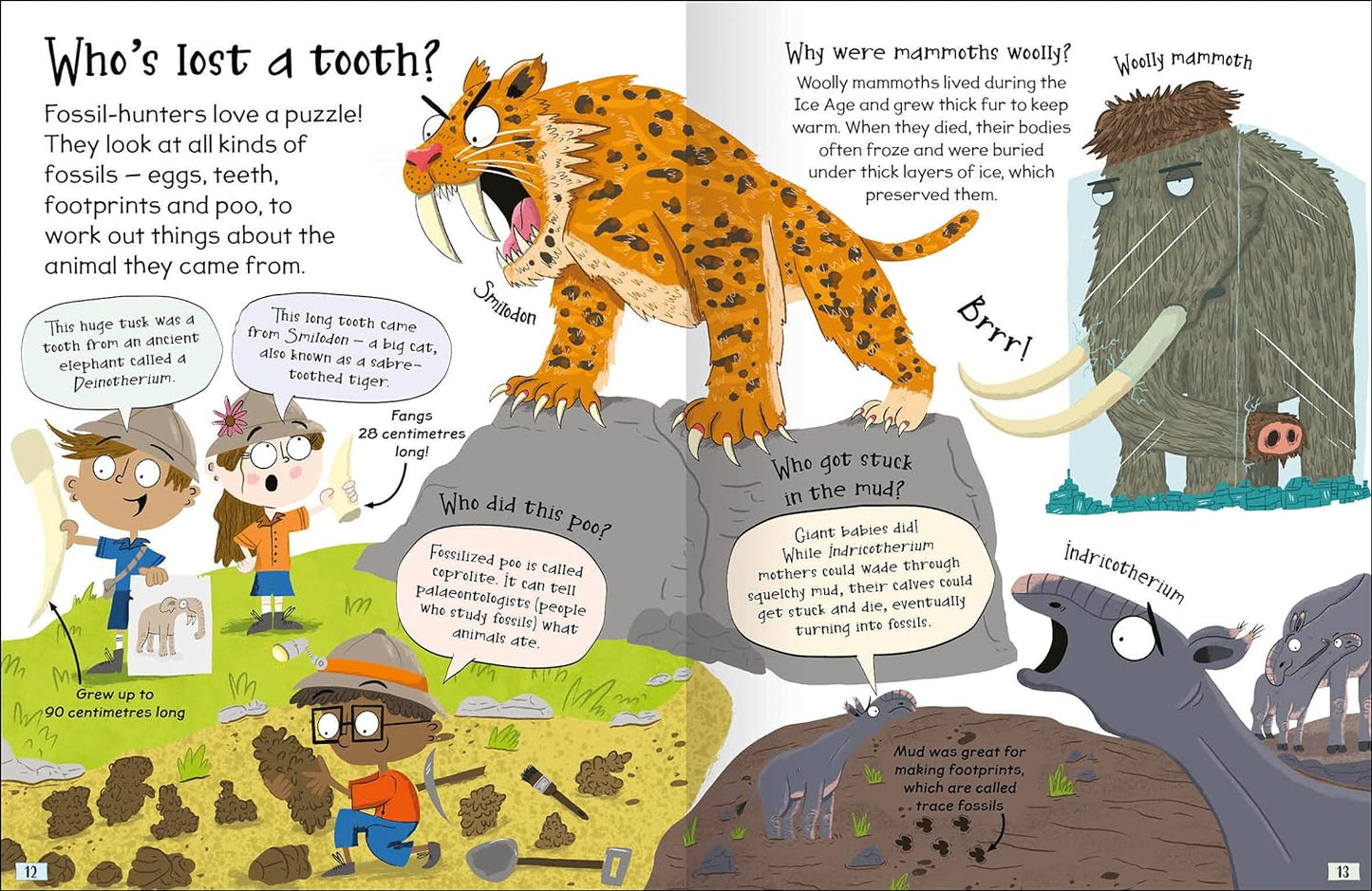 Curious Questions & Answers about Prehistoric Animals