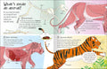 Curious Questions & Answers about Animals