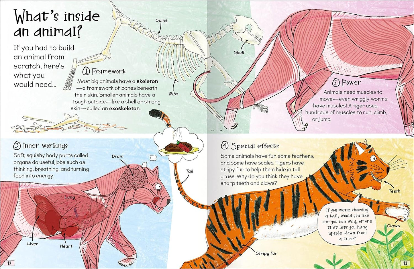 Curious Questions & Answers about Animals