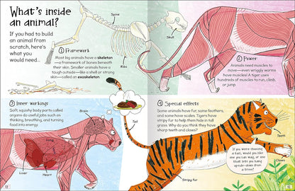 Curious Questions & Answers about Animals