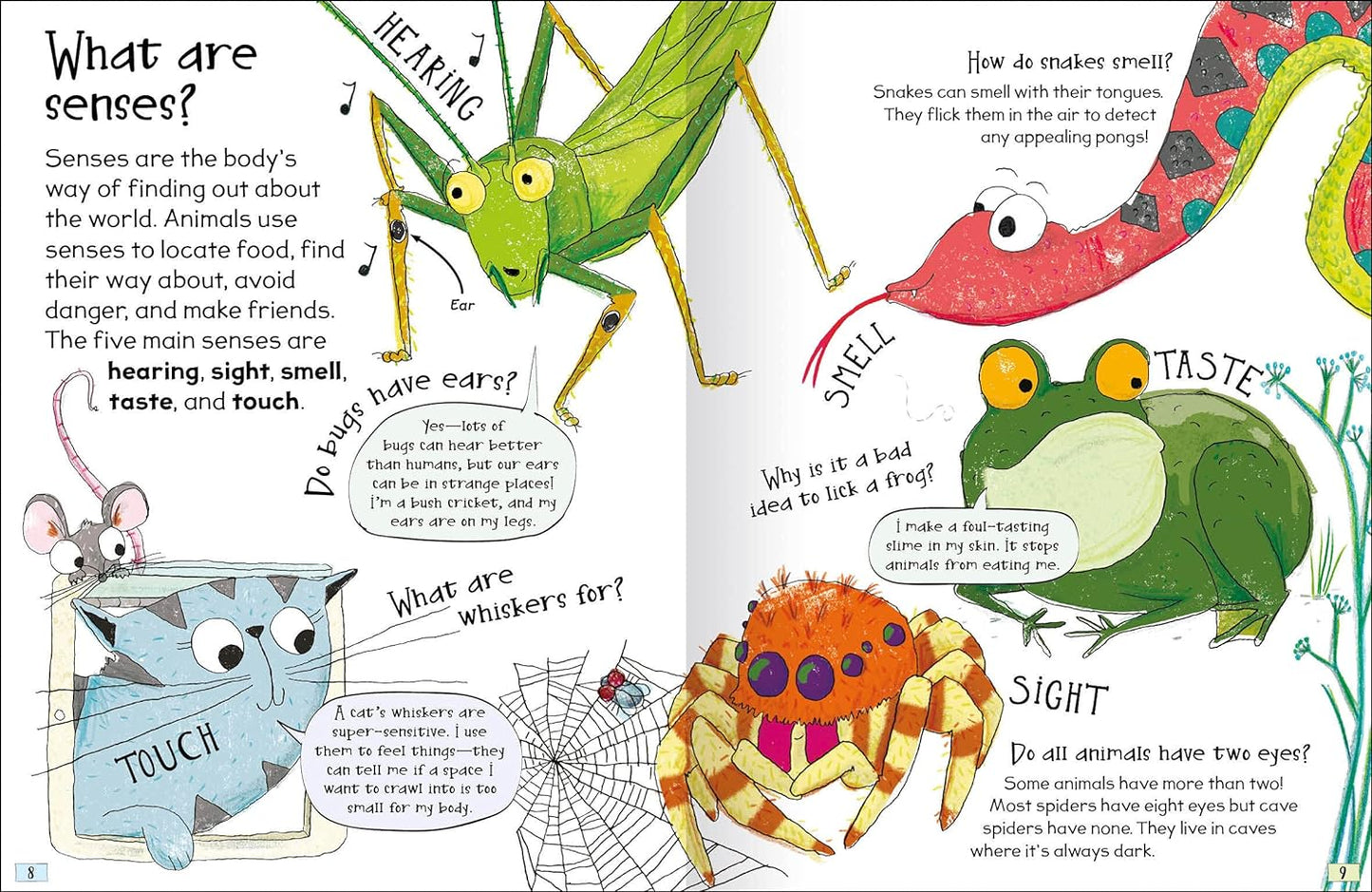 Curious Questions & Answers about Animals