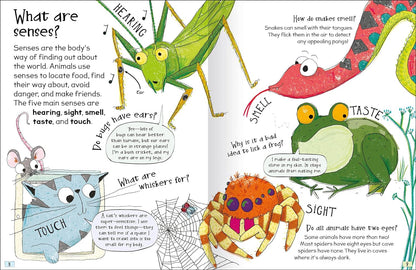 Curious Questions & Answers about Animals