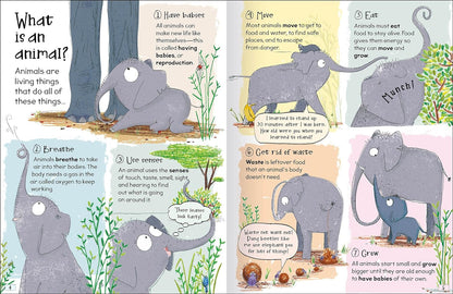 Curious Questions & Answers about Animals