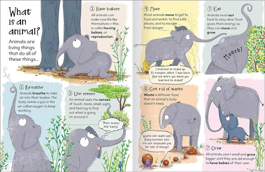Curious Questions & Answers about Animals