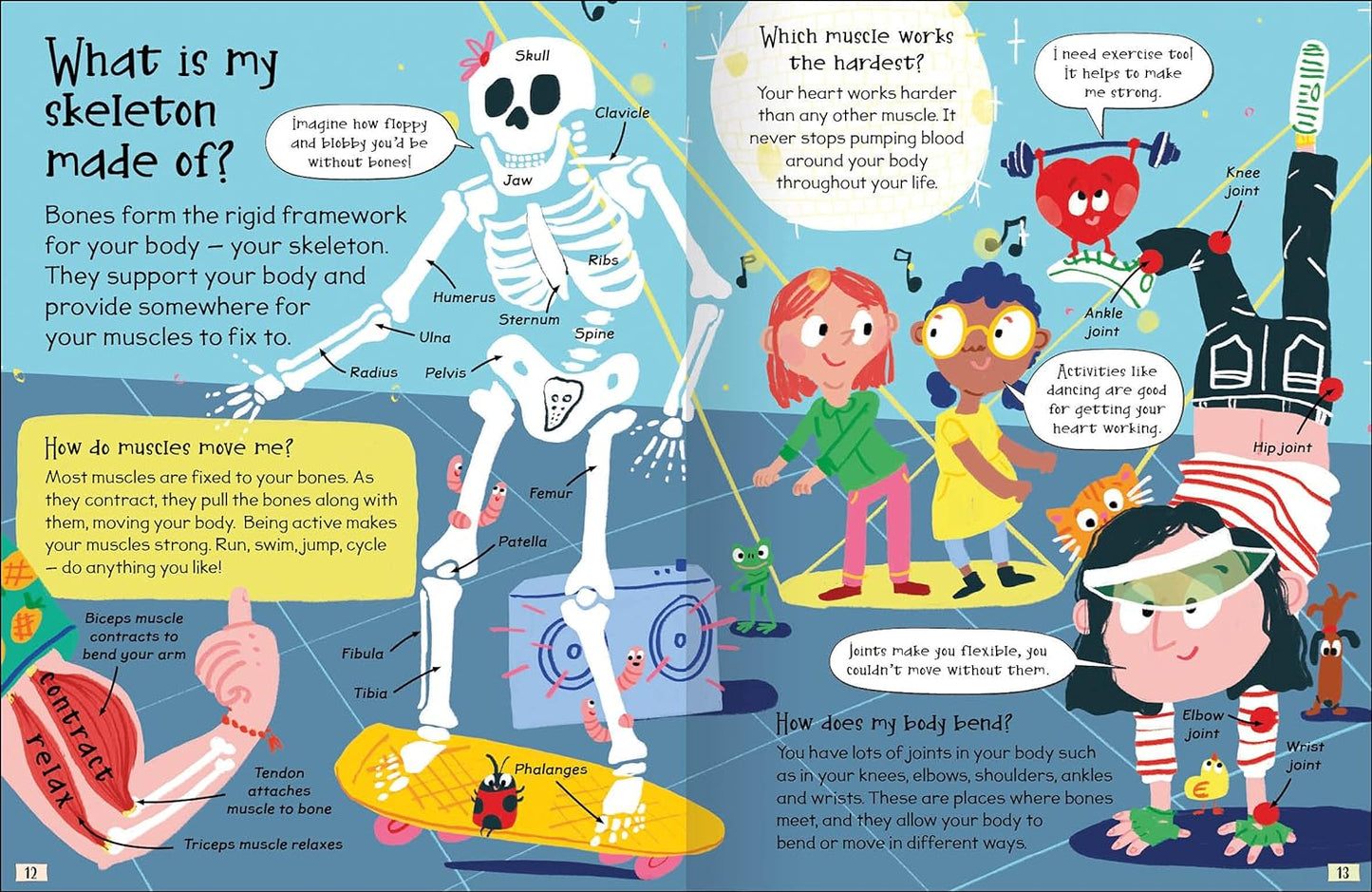 Curious Questions & Answers about My Body