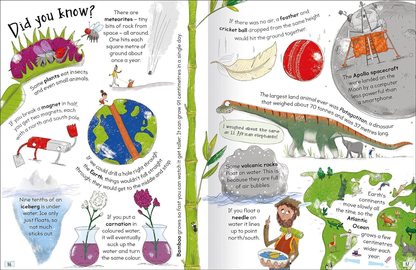 Curious Questions & Answers about Science