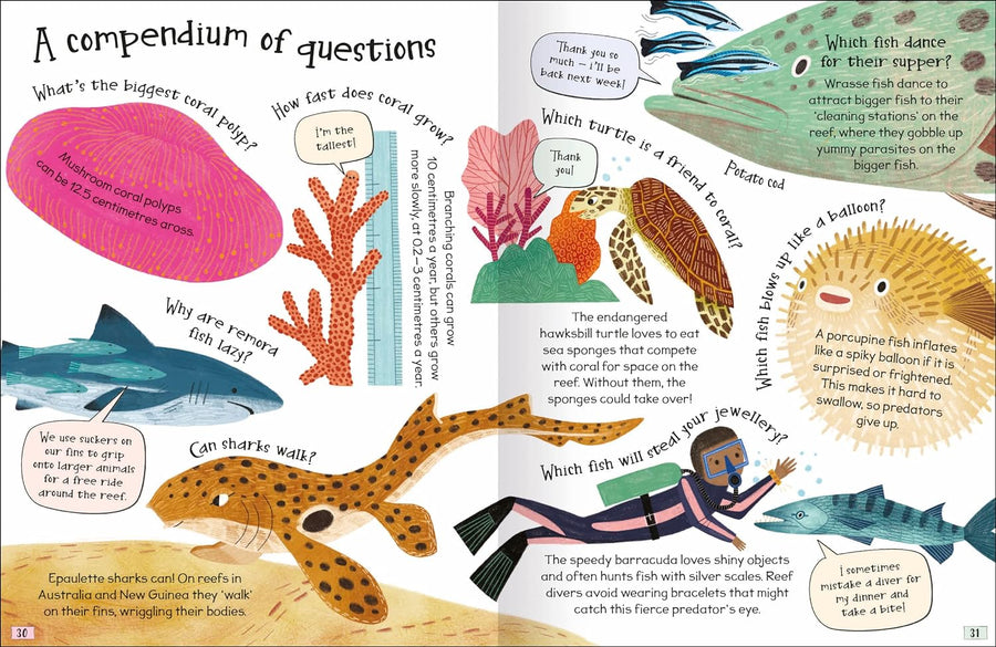 Curious Questions & Answers about Coral Reefs