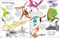 Curious Questions & Answers about Prehistoric Animals