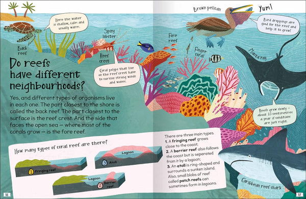 Curious Questions & Answers about Coral Reefs